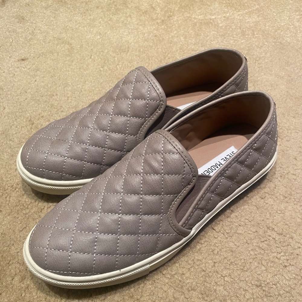Steve Madden Ecentrcq Sneakers